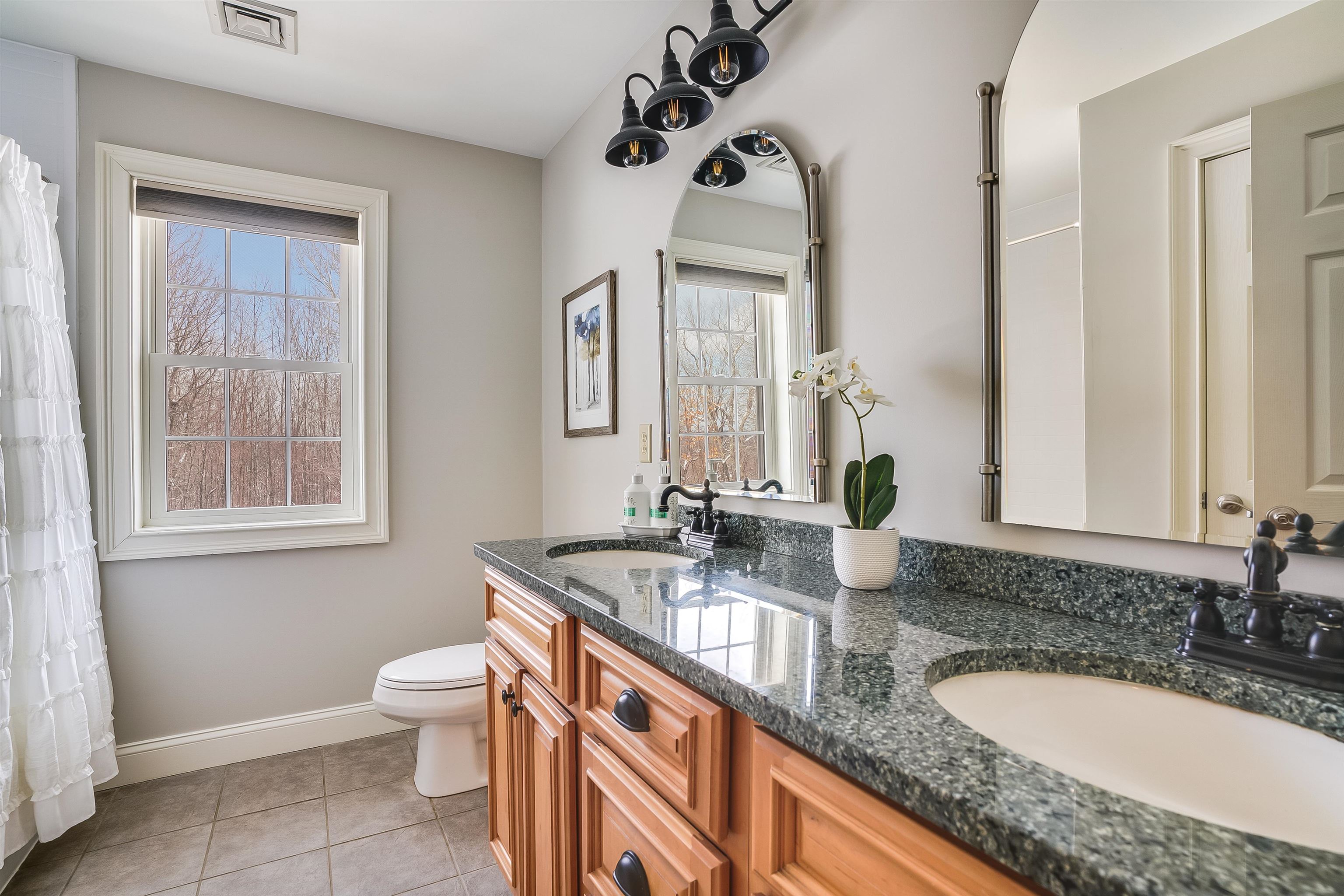 60 Snow Road Goffstown, NH 03045 - Photo 31 of 60 Gallery Image 31