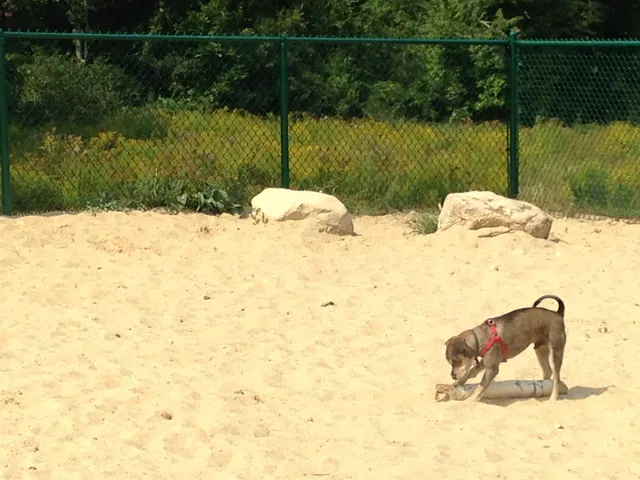 $1,902 | 29 Capron Road, Unit 90, Milford, NH 03055