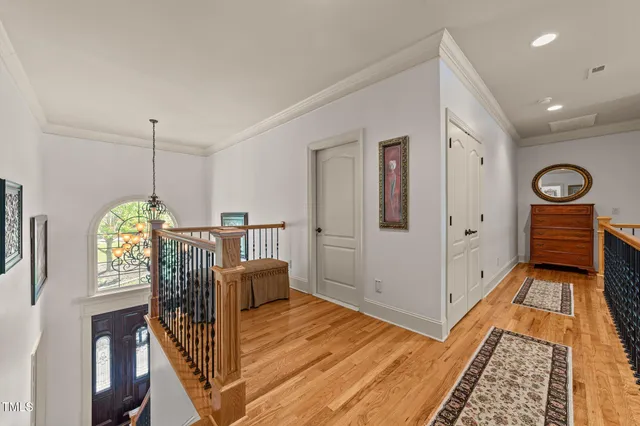 a view of a yard with plants and large trees