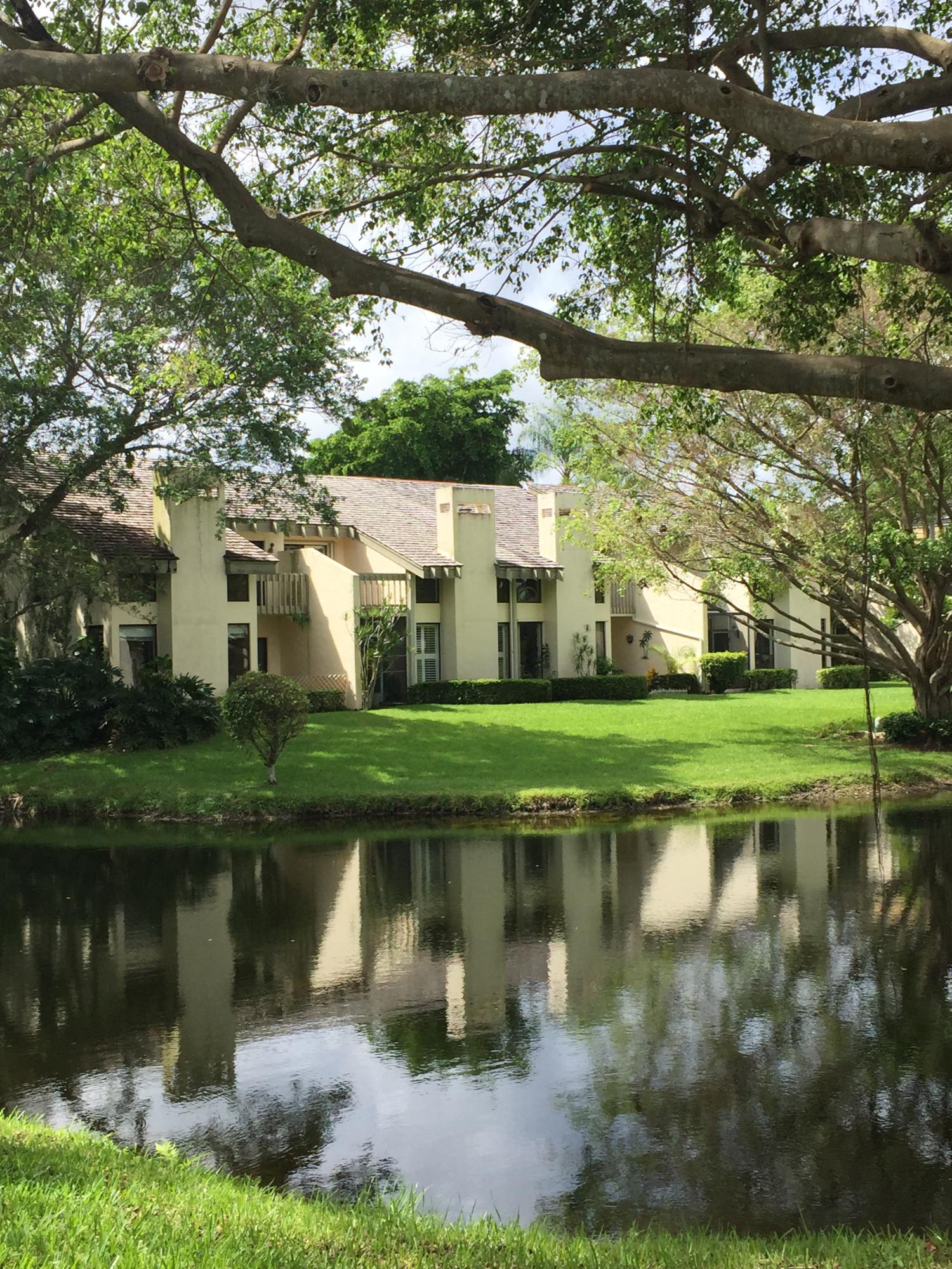 Lake Views