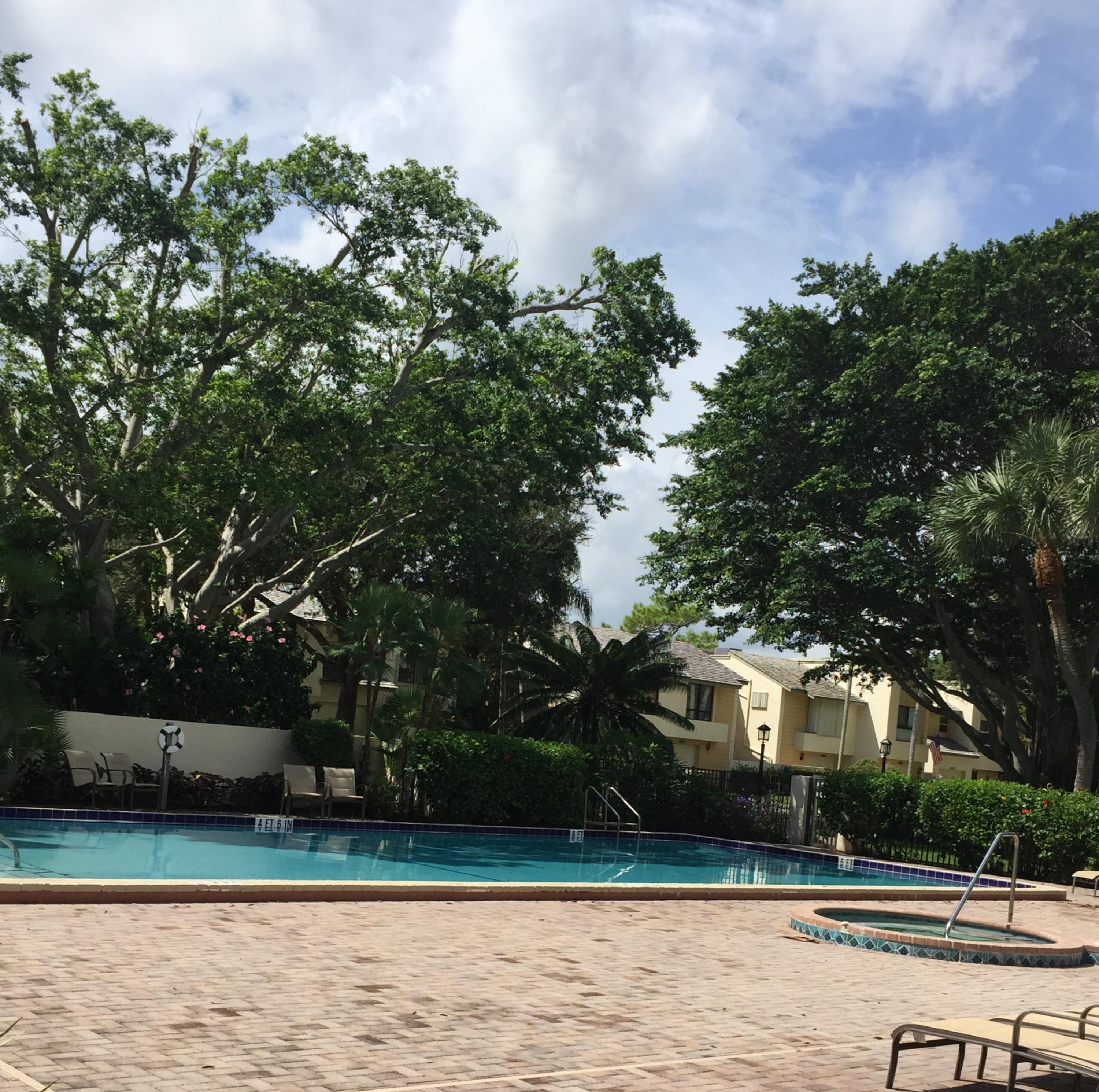Pool & Spa