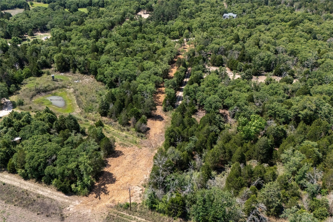 Tbd Whipperwill Lane Elgin, TX 78621 - Photo 3 of 19 a view of a forest with a tree