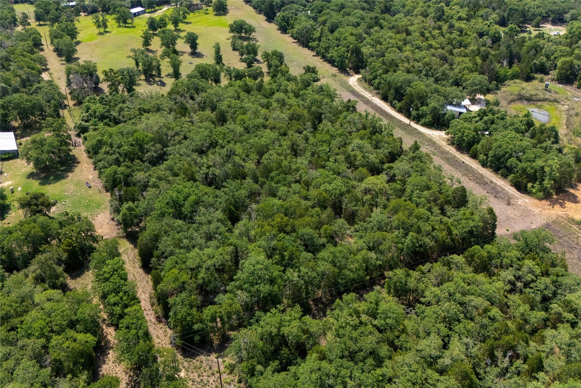 Tbd Whipperwill Lane Elgin, TX 78621 - Photo 8 of 19 a close up of a plant