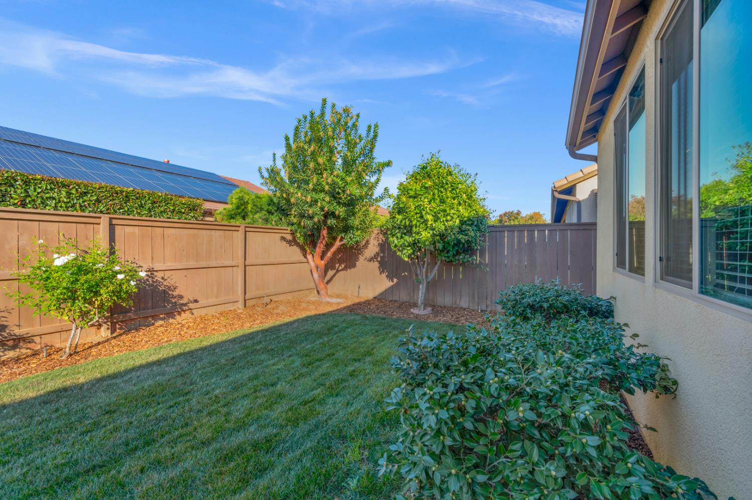 3267 Portals Avenue Clovis, CA 93619 - Photo 56 of 69 a view of a yard in front of a house with a large tree