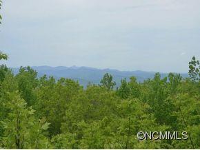 316 Hogsed Road Brevard, NC 28712 - Photo 2 of 9 Gallery Image 2