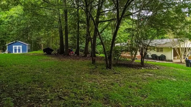 a view of a tree in front of a house