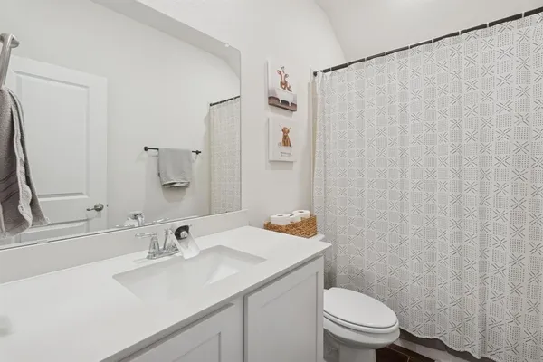 a bathroom with a sink a toilet and shower curtain