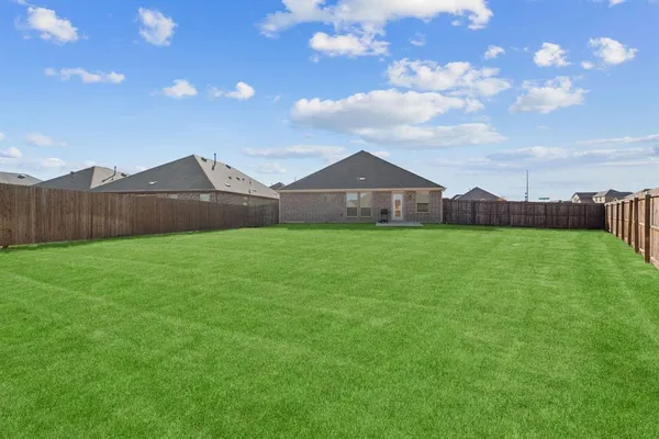 a view of a yard with a large tree