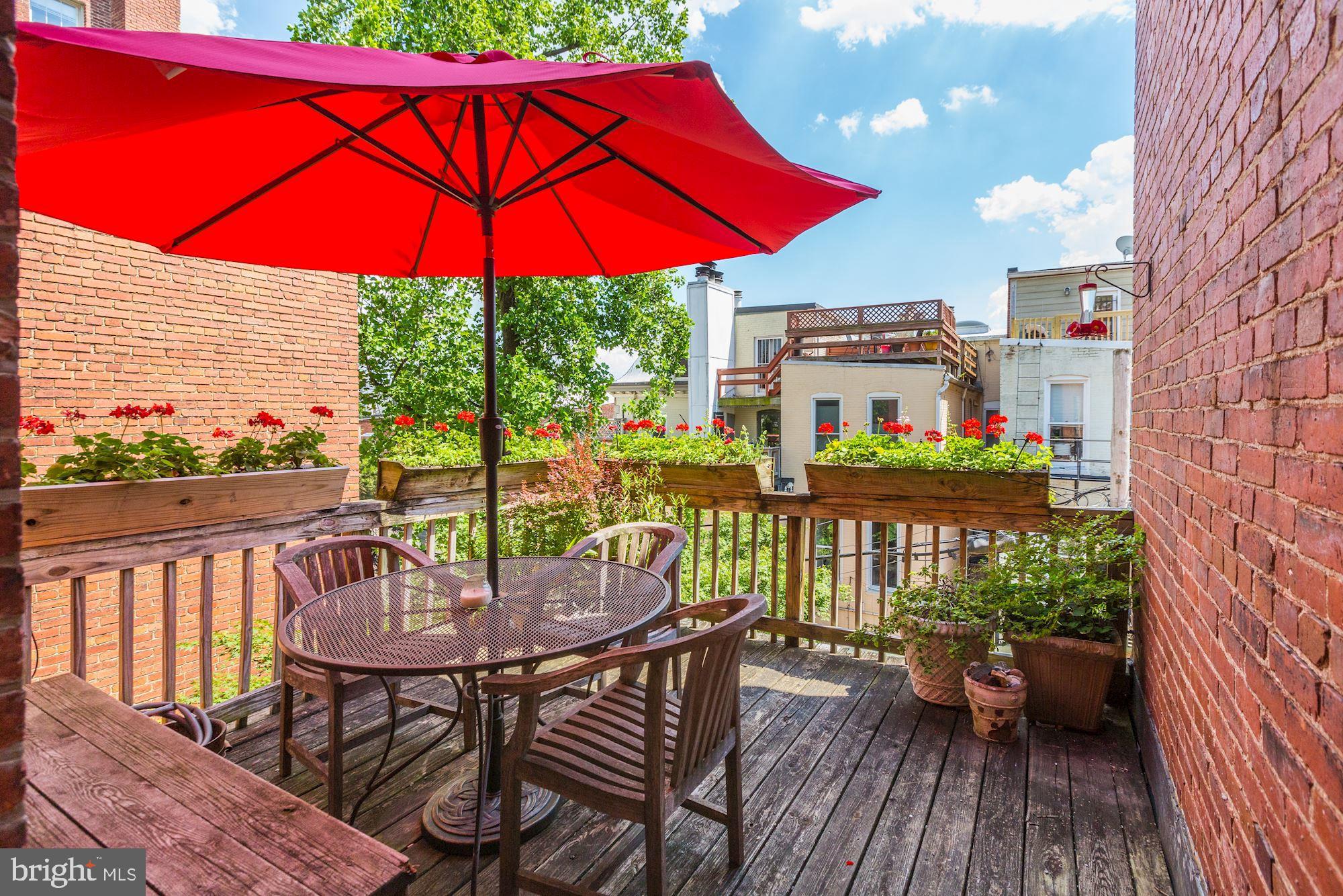 2110 Bancroft Place Northwest Washington, DC 20008 - Photo 15 of 27 Roof Terrace with south views