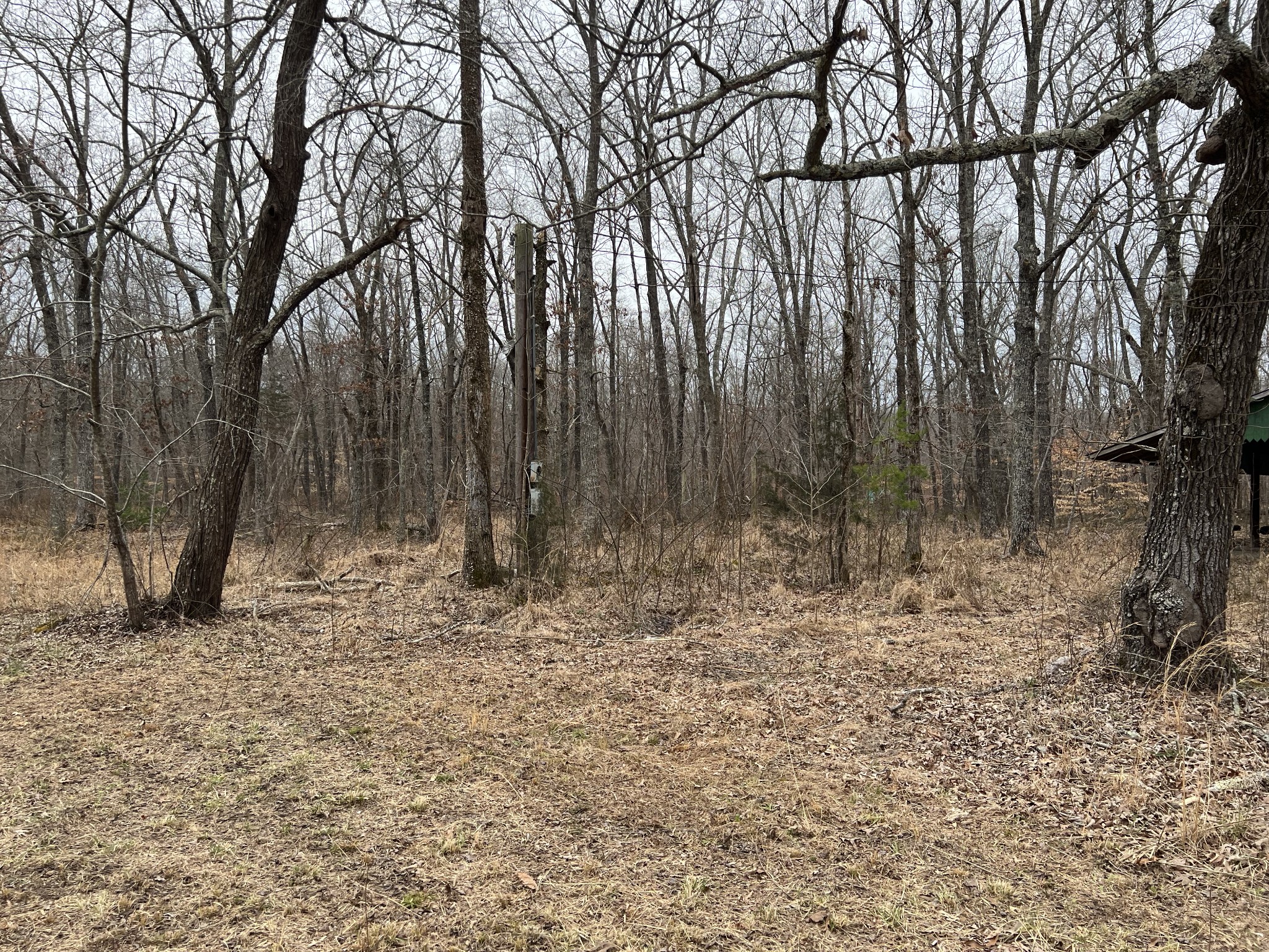 968 Cat Creek Road Manchester, TN 37355 - Photo 2 of 21 a view of wooden fence