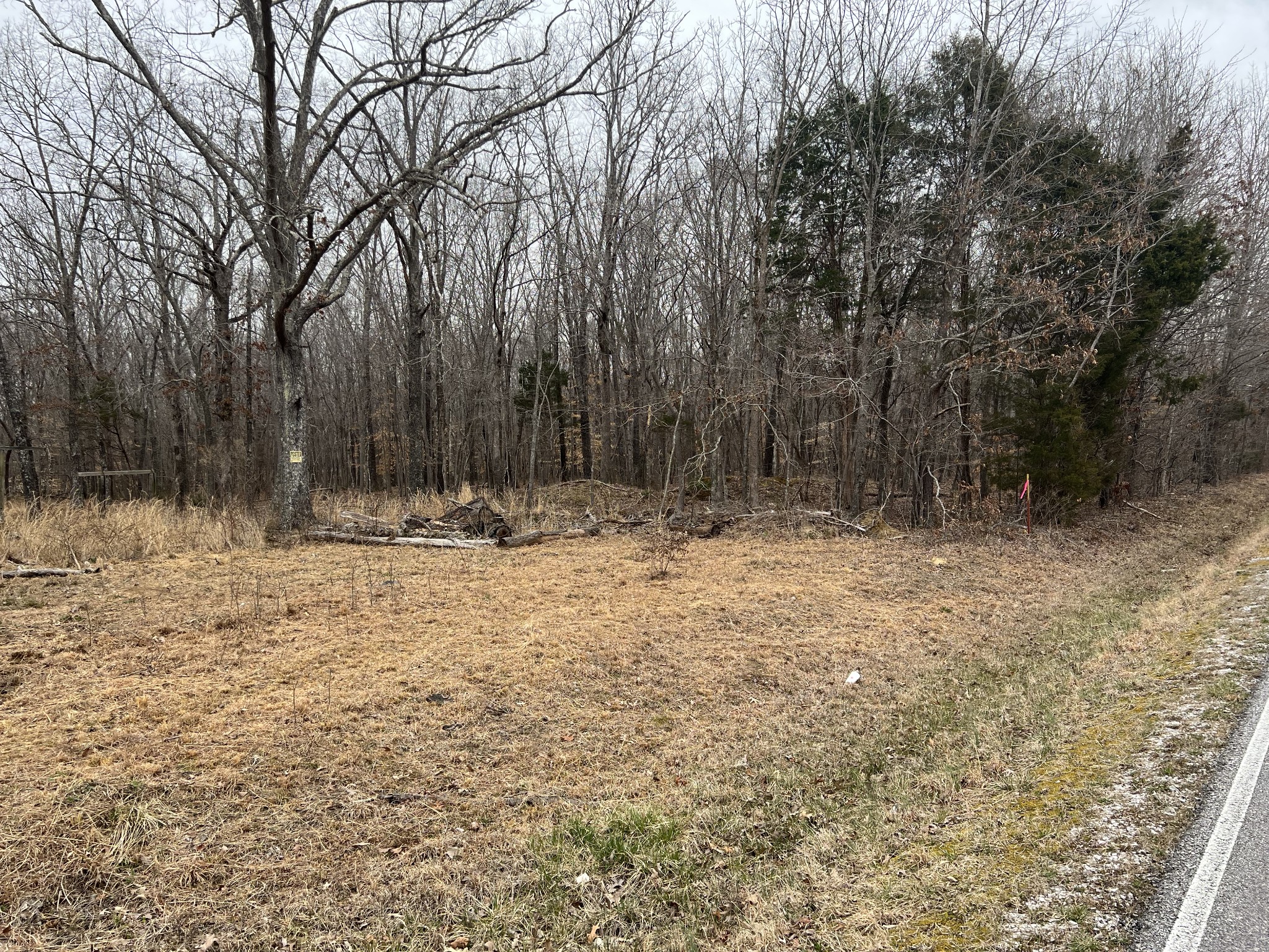 968 Cat Creek Road Manchester, TN 37355 - Photo 5 of 21 a view of outdoor space with trees