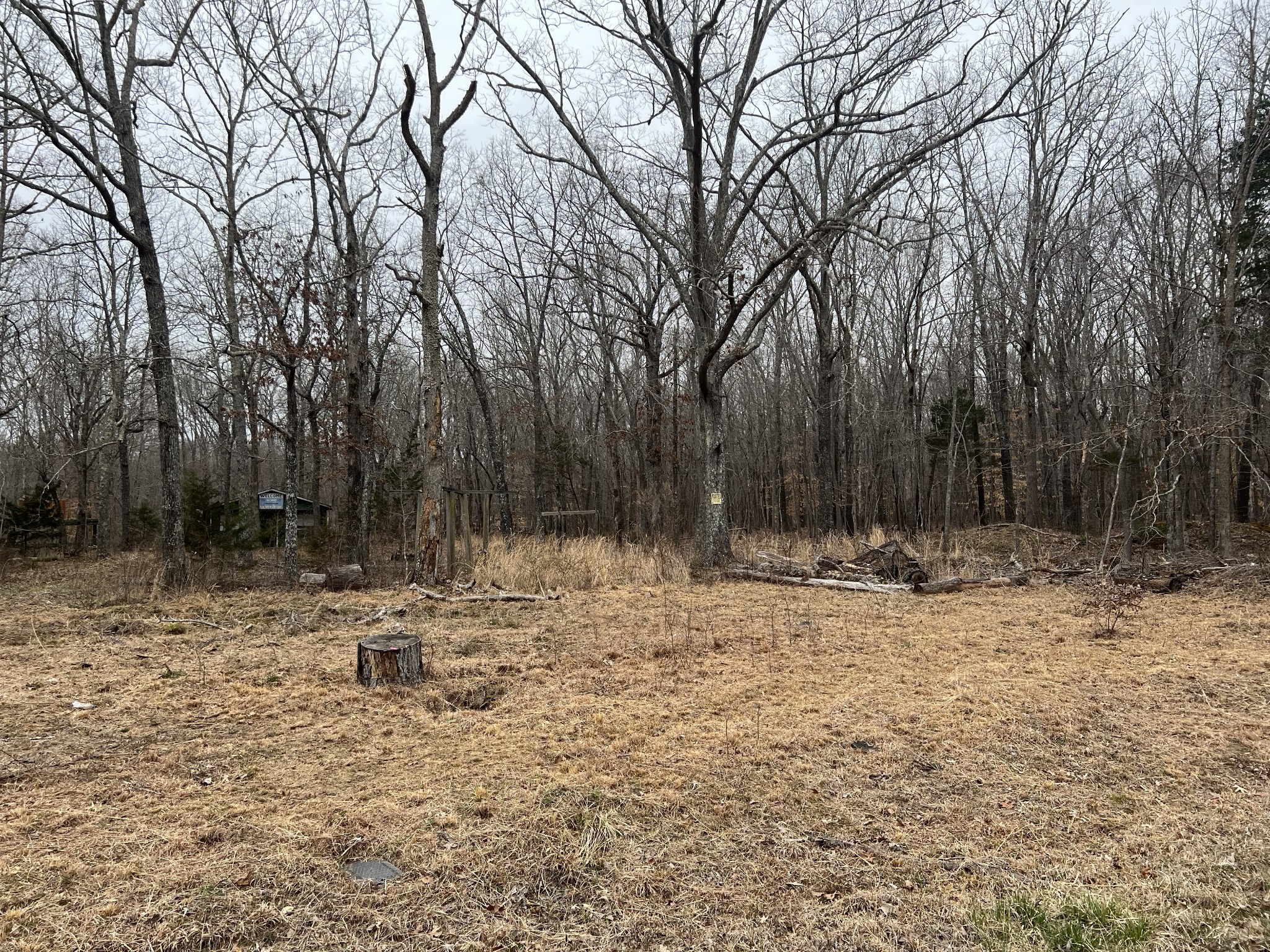 968 Cat Creek Road Manchester, TN 37355 - Photo 6 of 21 a view of a yard with trees