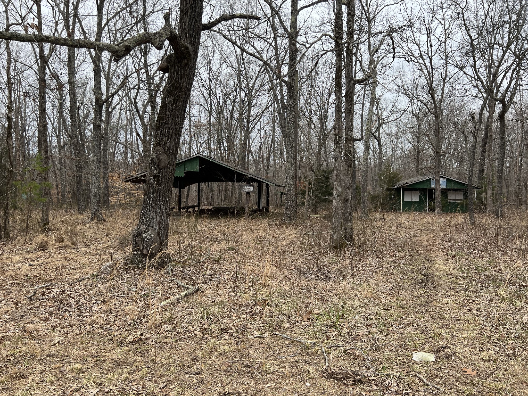 968 Cat Creek Road Manchester, TN 37355 - Photo 7 of 21 a backyard of a house with table and chairs