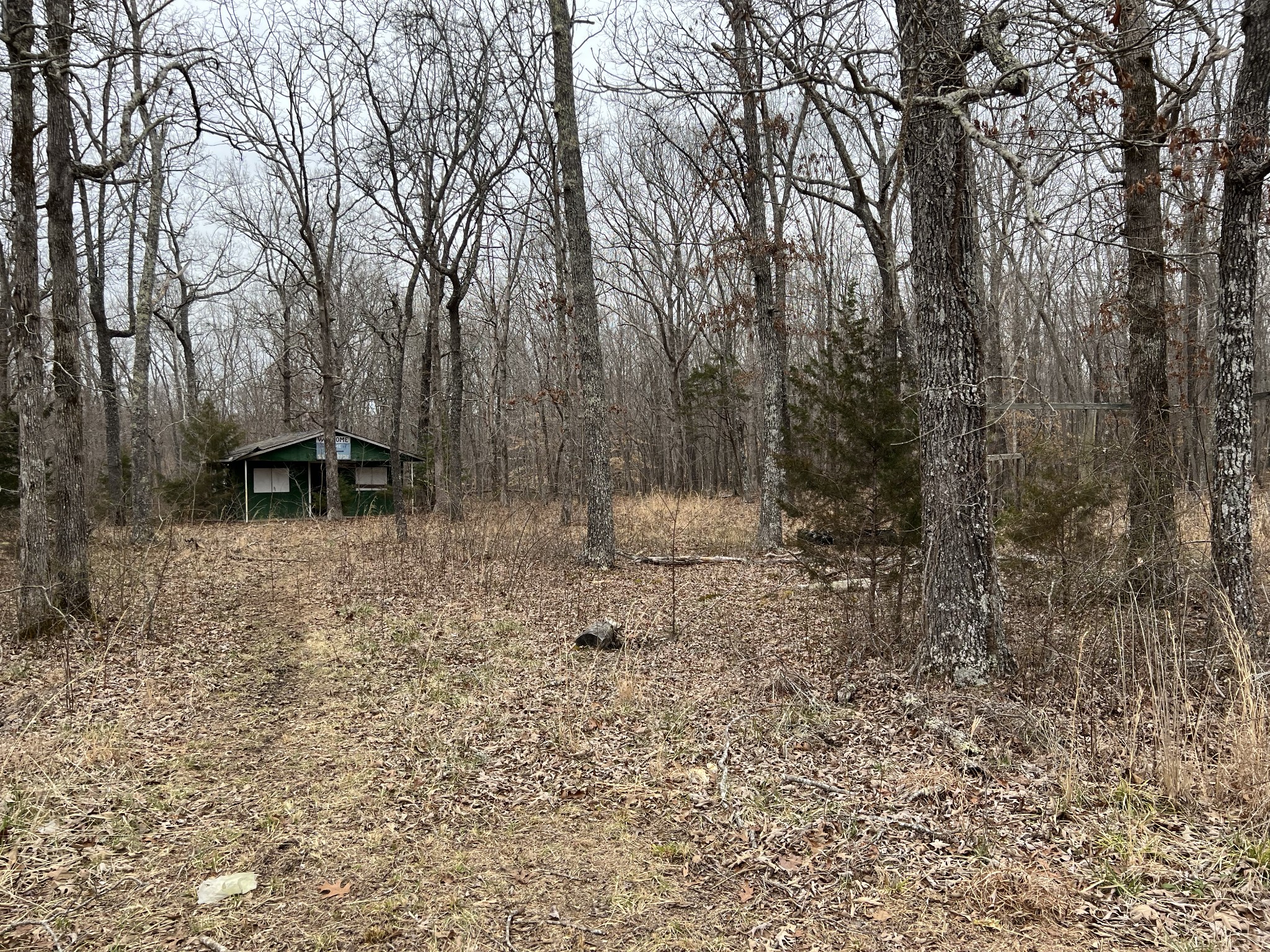 968 Cat Creek Road Manchester, TN 37355 - Photo 8 of 21 a backyard of a house with lots of green space