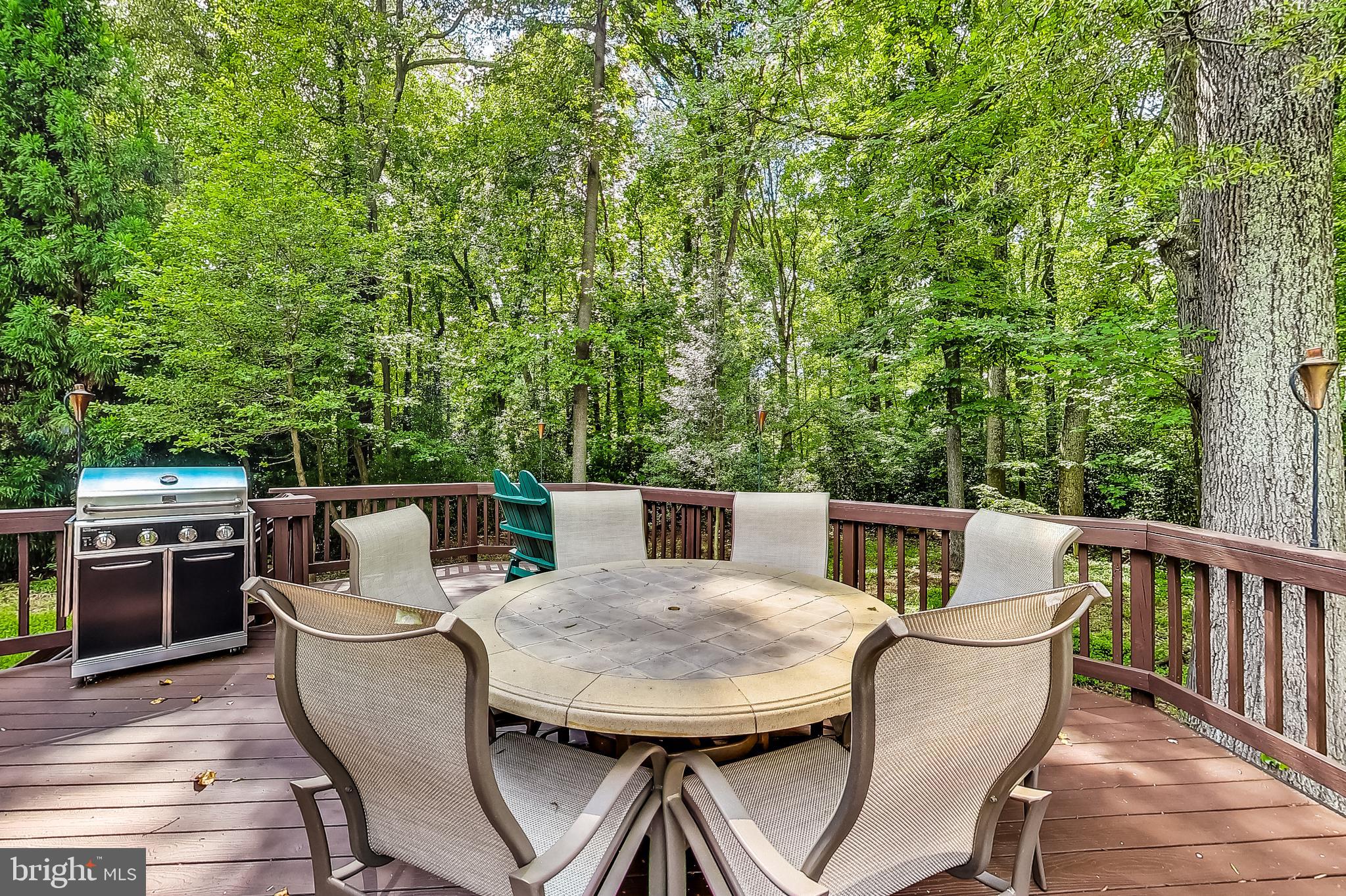 2452 Freetown Drive Reston, VA 20191 - Photo 47 of 69 Picturesque Views from Deck
