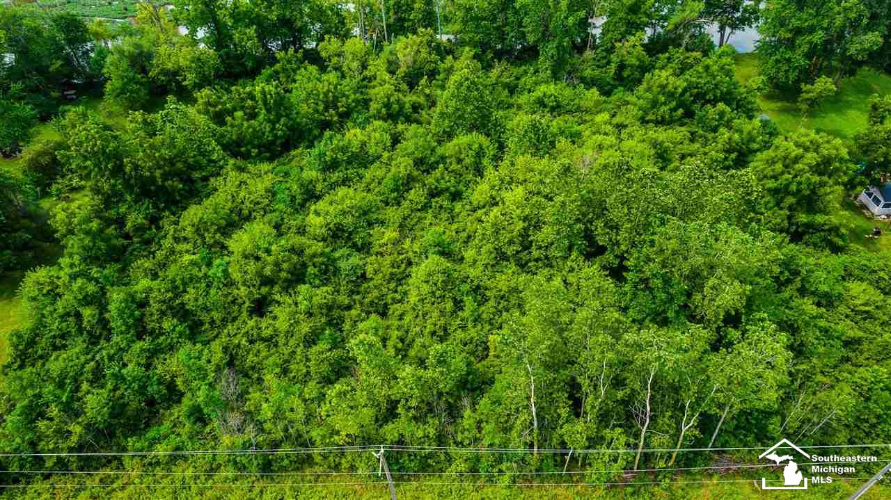 0 North Custer Road Monroe, MI 48162 - Photo 2 of 14 50048587-4.JPG
