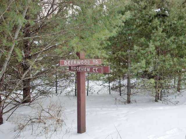 Lot 306 Deerwood Road Minocqua, WI 54548 - Photo 9 of 16 Gallery Image 9