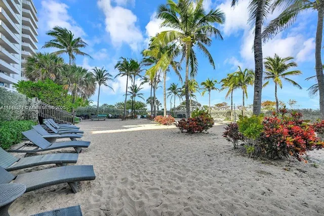 a view of a backyard with palm trees