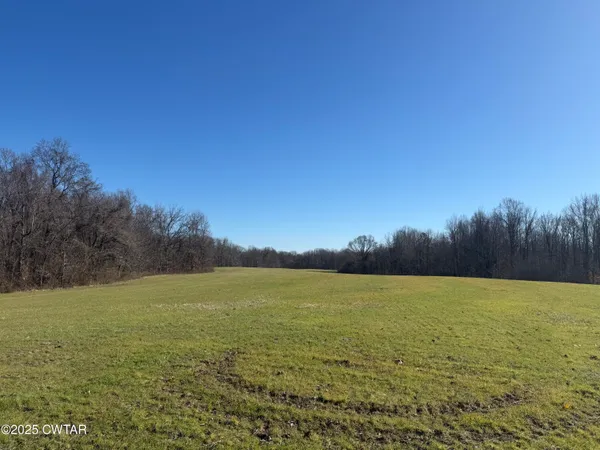 a view of yard and mountain view