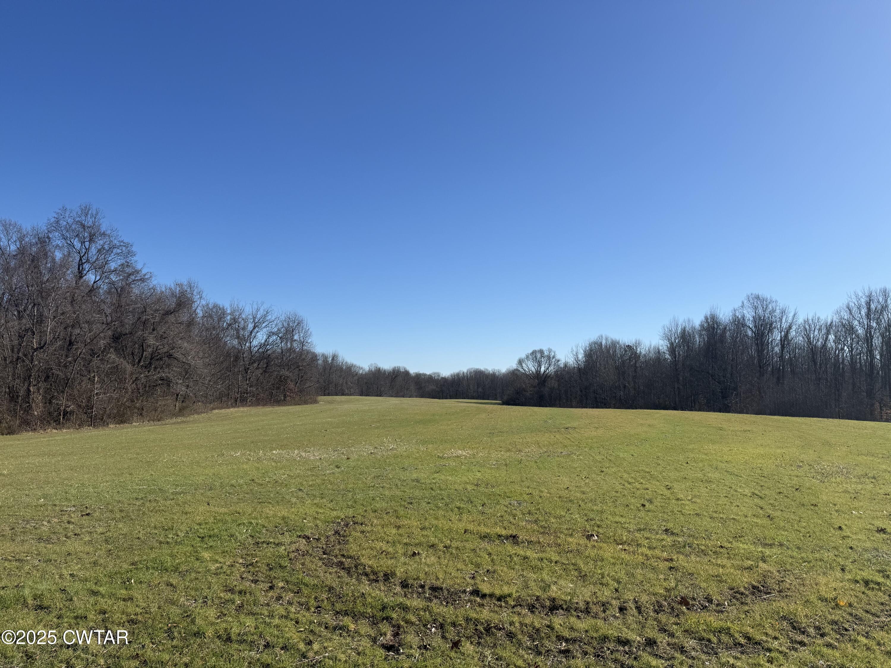 0 Arp Central Road Ripley, TN 38063 - Photo 3 of 6 a view of yard and mountain view