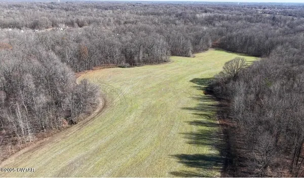 a view of a dry yard