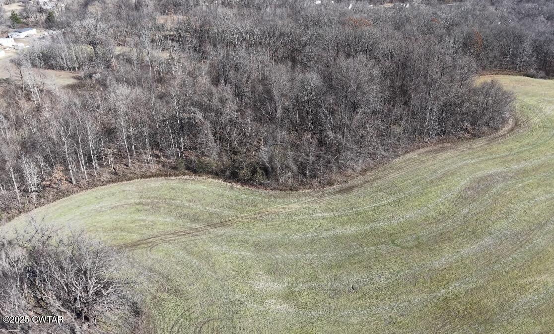 0 Arp Central Road Ripley, TN 38063 - Photo 6 of 6 a view of a dry yard
