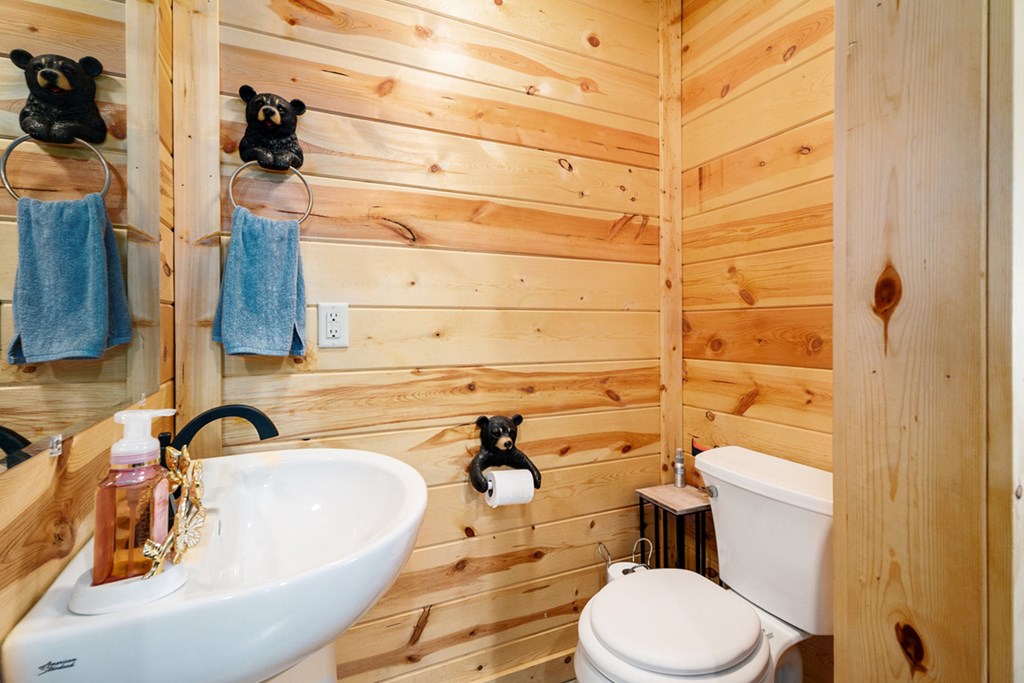8020 Cutcane Road Mineral Bluff, GA 30559 - Photo 21 of 35 Half bath