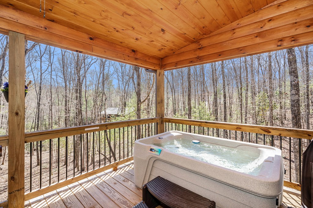 8020 Cutcane Road Mineral Bluff, GA 30559 - Photo 29 of 35 Gallery Image 29
