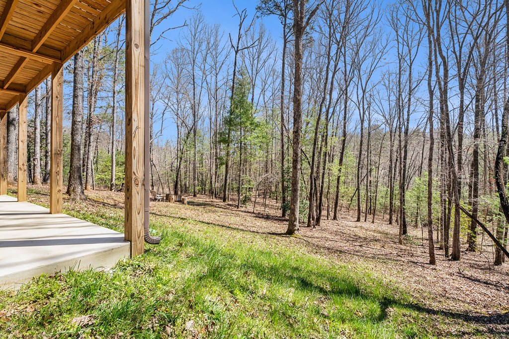 8020 Cutcane Road Mineral Bluff, GA 30559 - Photo 30 of 35 Gallery Image 30
