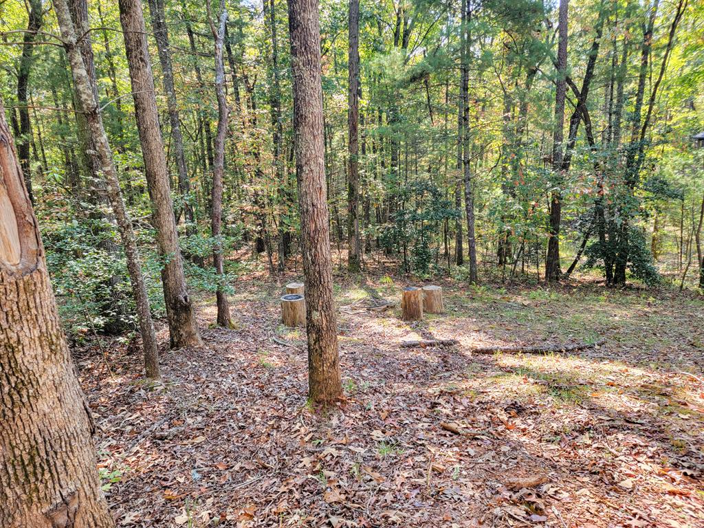 8020 Cutcane Road Mineral Bluff, GA 30559 - Photo 33 of 35 Gallery Image 33