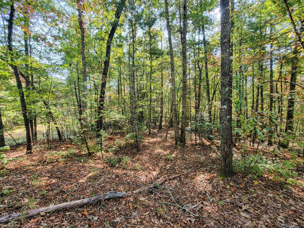 8020 Cutcane Road Mineral Bluff, GA 30559 - Photo 35 of 35 Gallery Image 35