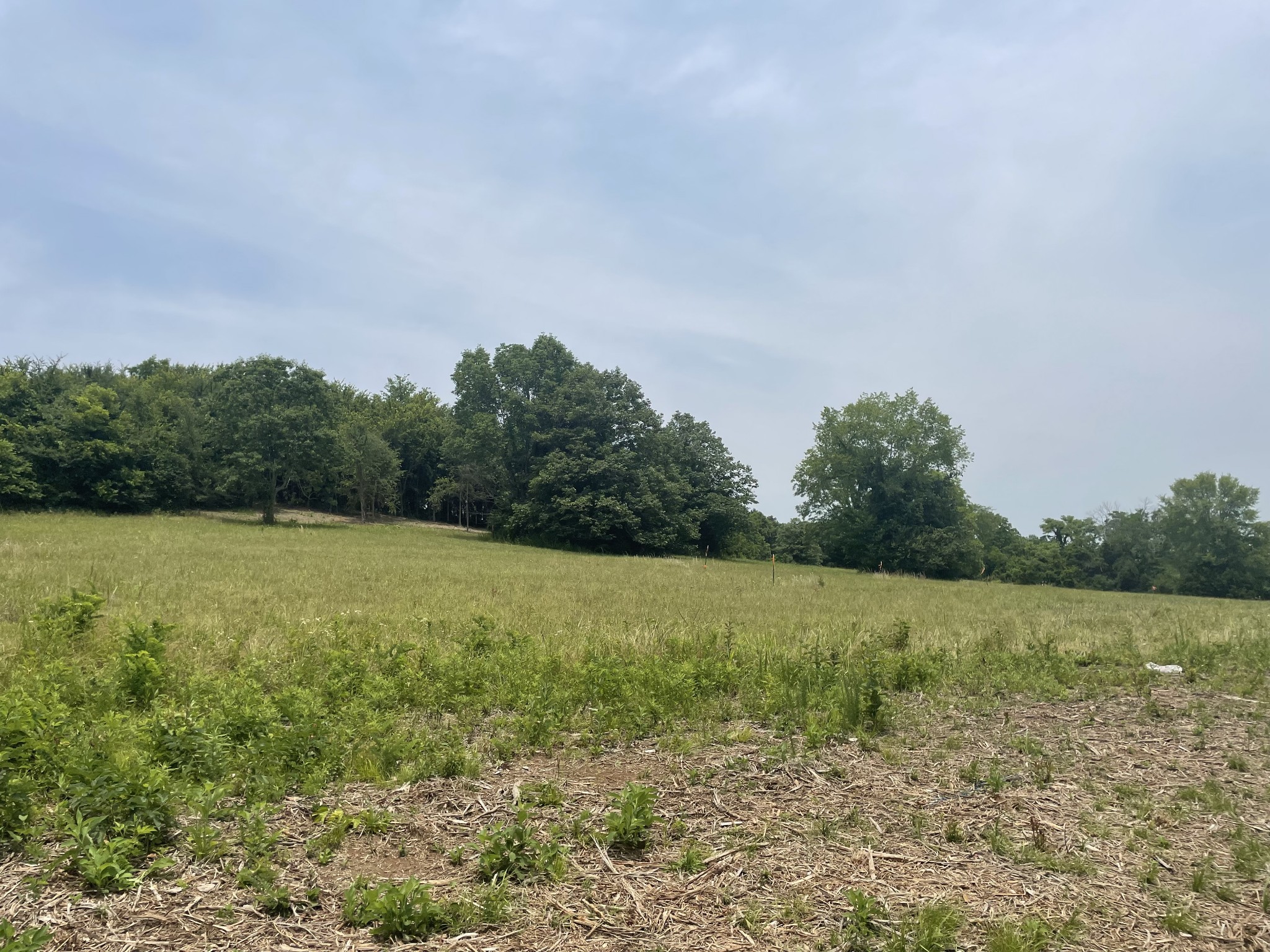 4 Iron Bridge Road Columbia, TN 38401 - Photo 11 of 16 a view of a field with an ocean