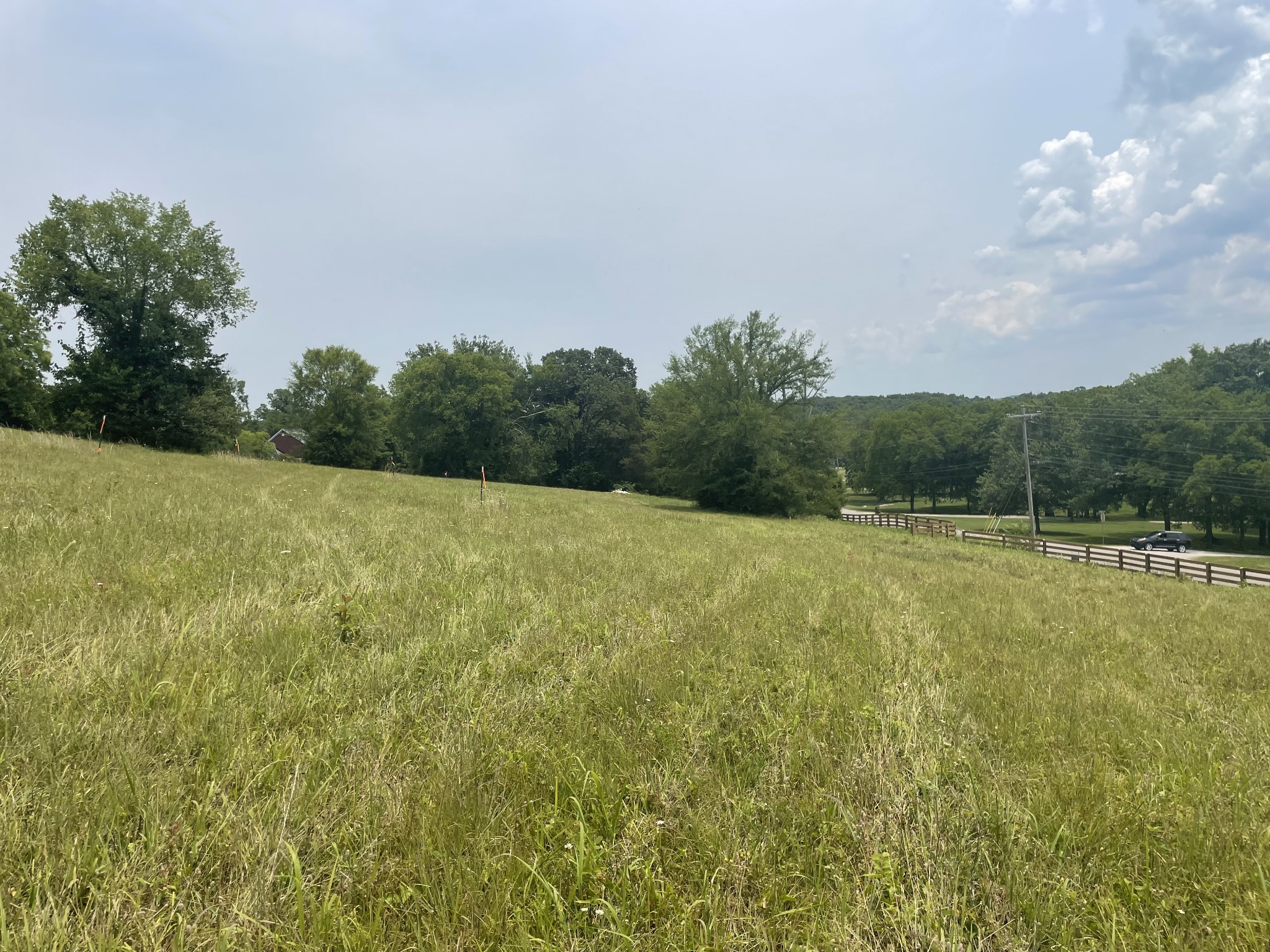 4 Iron Bridge Road Columbia, TN 38401 - Photo 16 of 16 a view of a field with large trees in the background