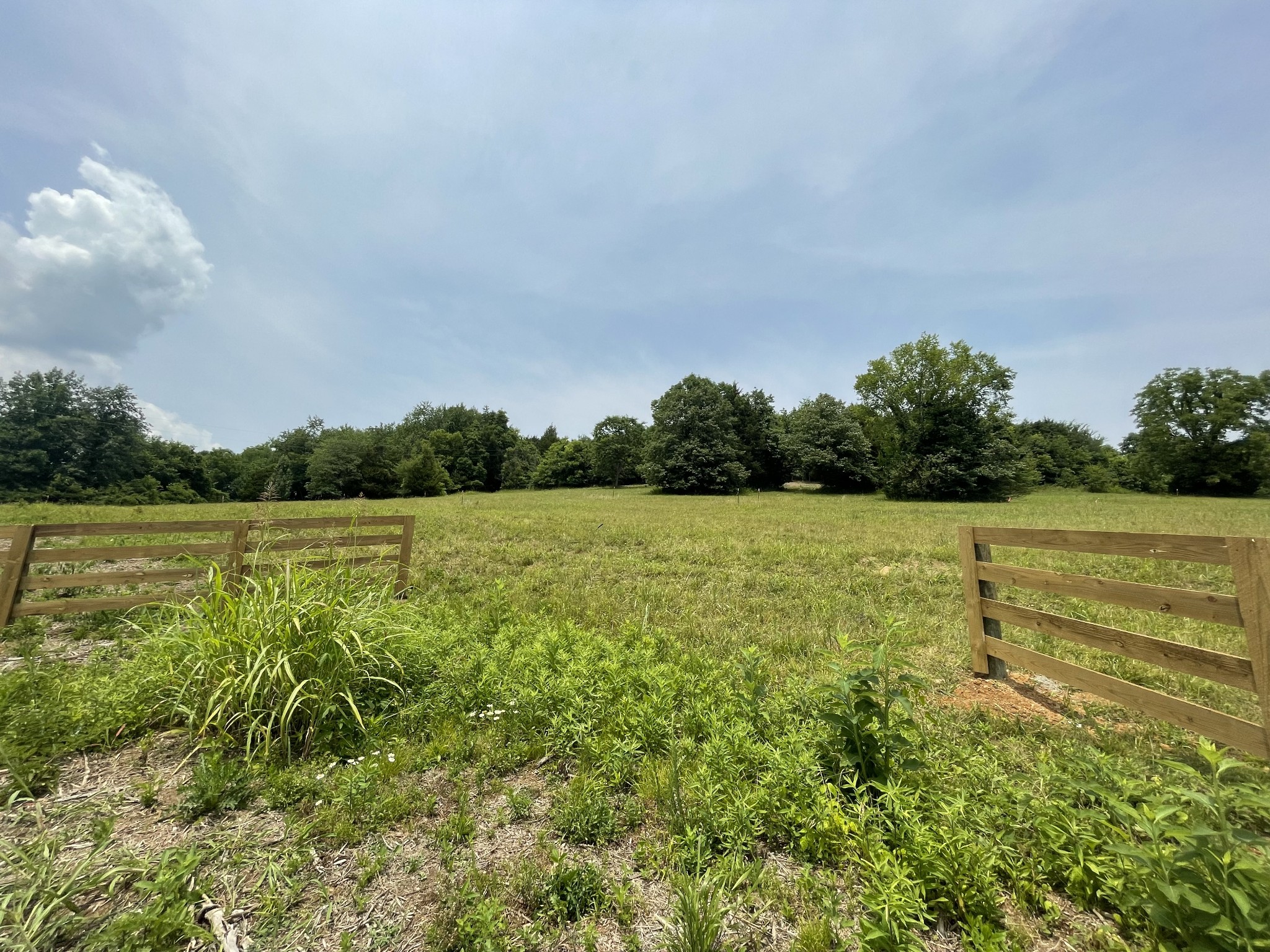 4 Iron Bridge Road Columbia, TN 38401 - Photo 3 of 16 a view of a lake with a big yard