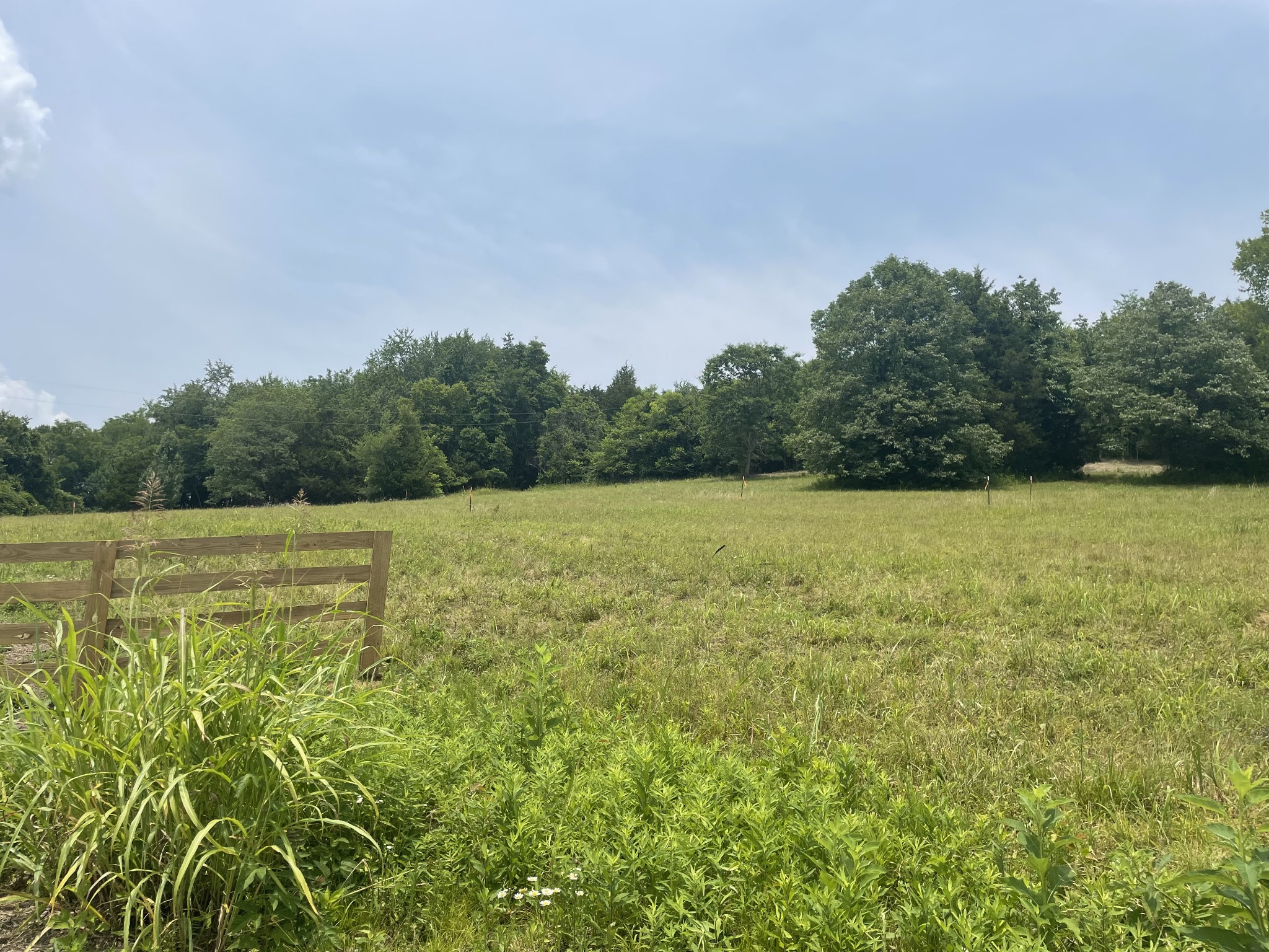 4 Iron Bridge Road Columbia, TN 38401 - Photo 4 of 16 a view of a field with an ocean view