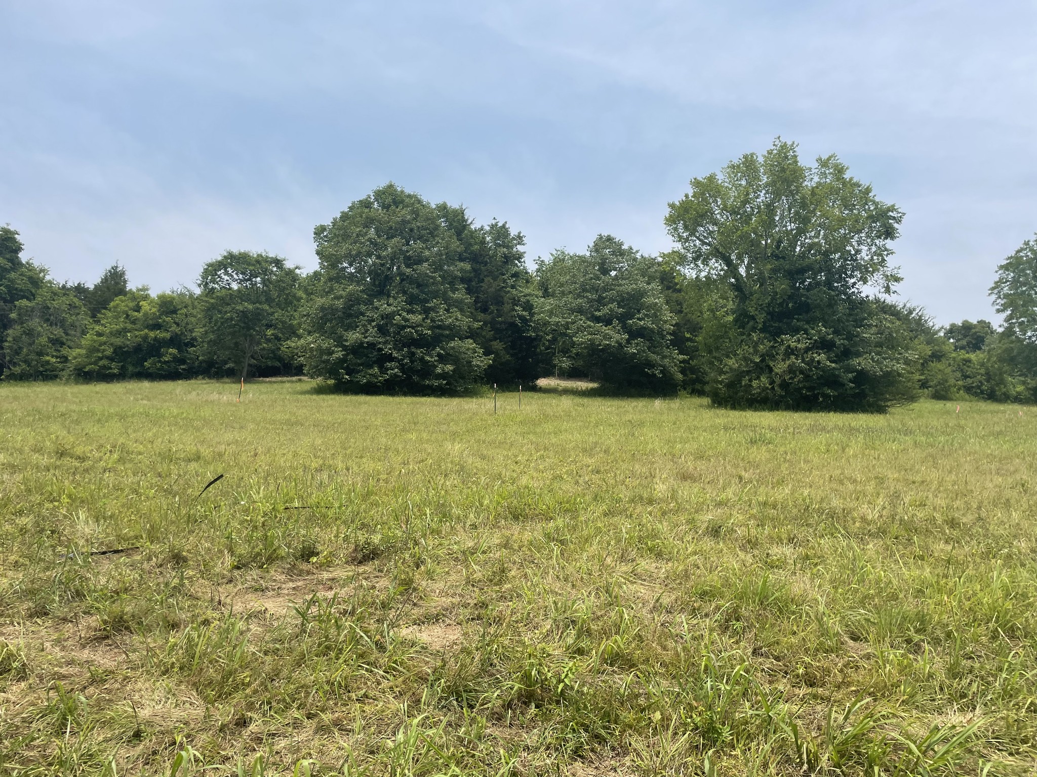 4 Iron Bridge Road Columbia, TN 38401 - Photo 5 of 16 a view of a large pool with a yard