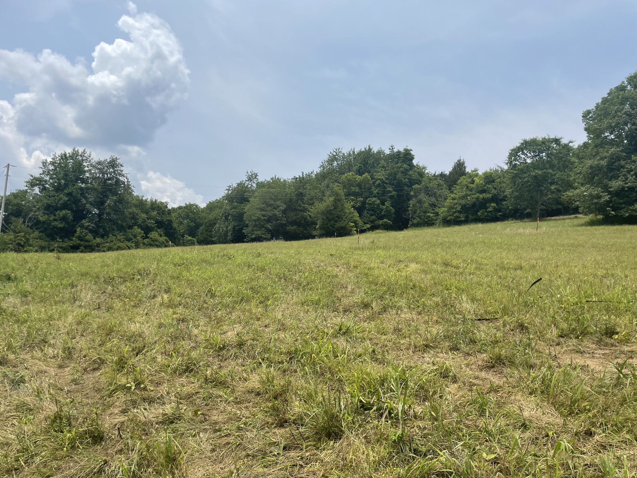 4 Iron Bridge Road Columbia, TN 38401 - Photo 7 of 16 a view of open field with trees in background