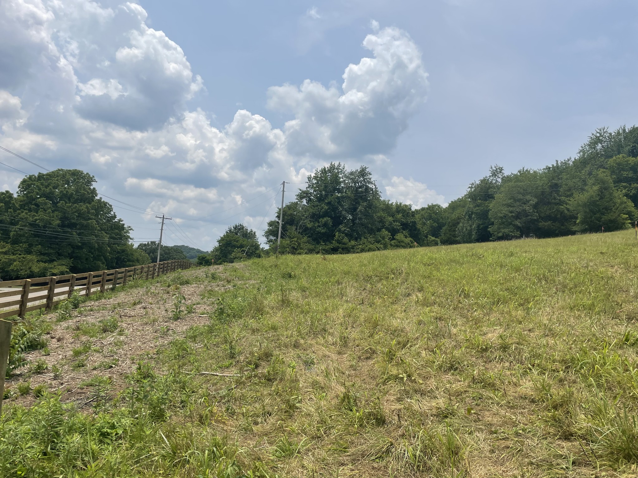 4 Iron Bridge Road Columbia, TN 38401 - Photo 8 of 16 a view of a field with an trees in the background
