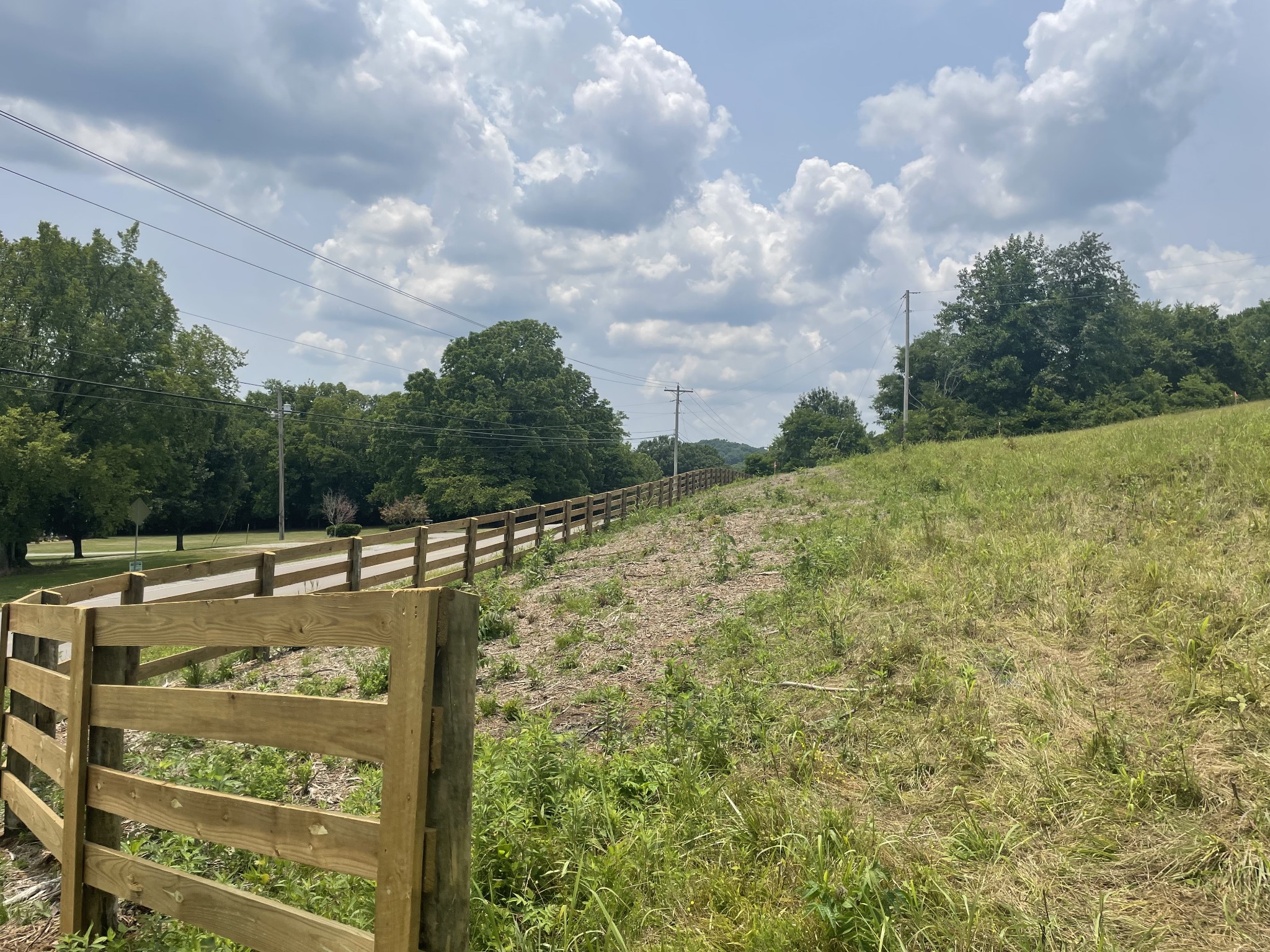 4 Iron Bridge Road Columbia, TN 38401 - Photo 9 of 16 a view of a big yard with an trees