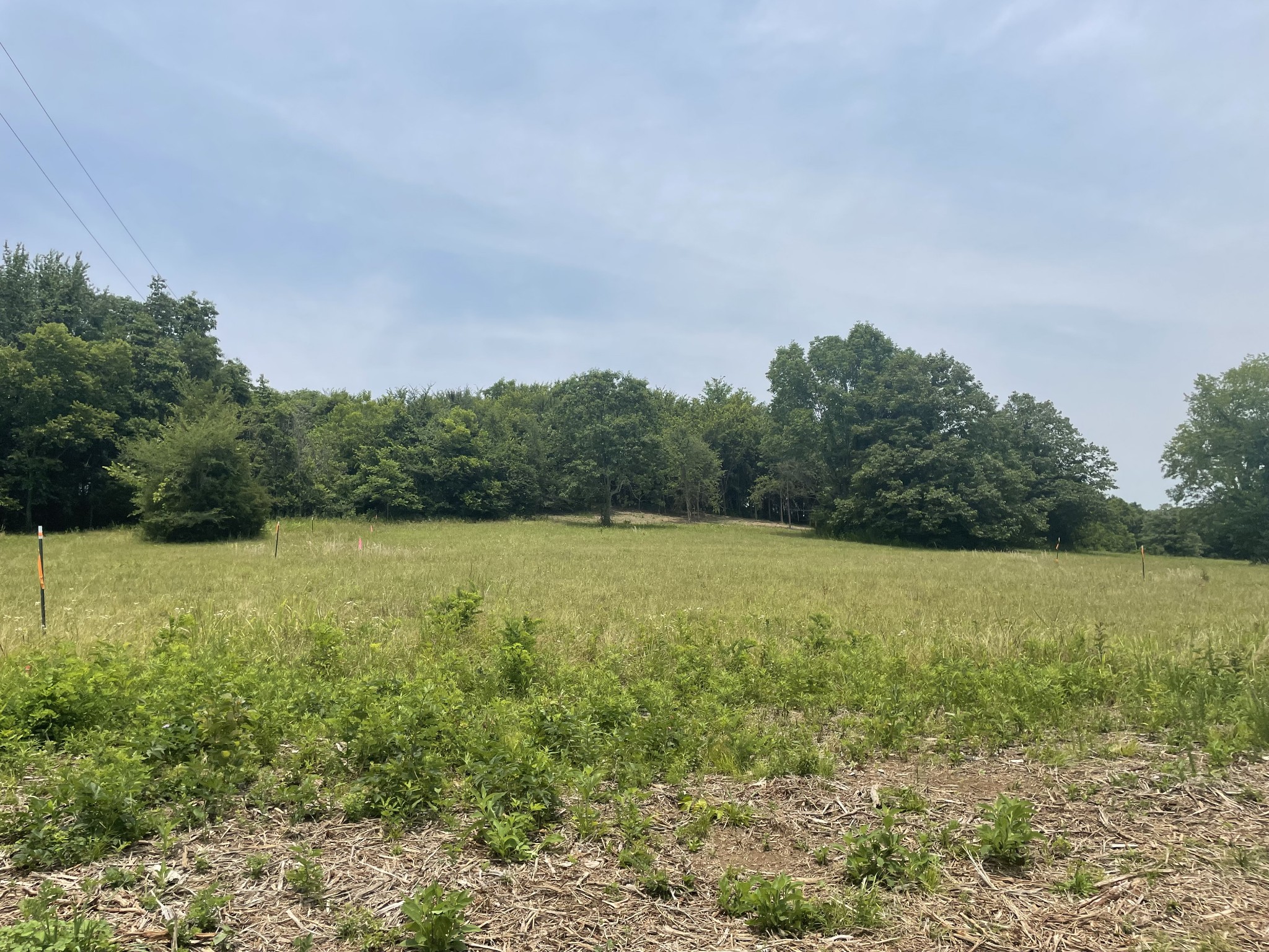 4 Iron Bridge Road Columbia, TN 38401 - Photo 10 of 16 a view of outdoor space and yard
