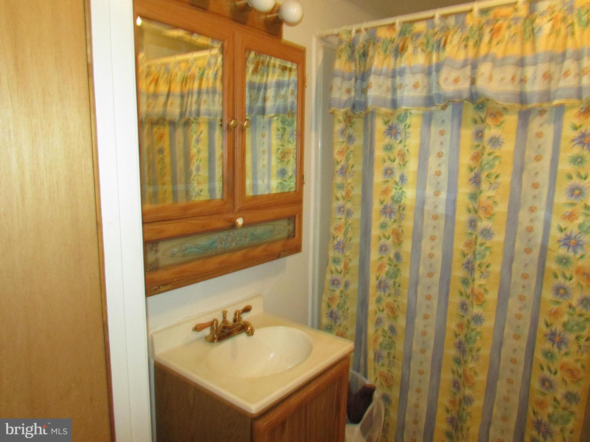 210 East Fourteenth Avenue Ranson, WV 25438 - Photo 29 of 30 Bath