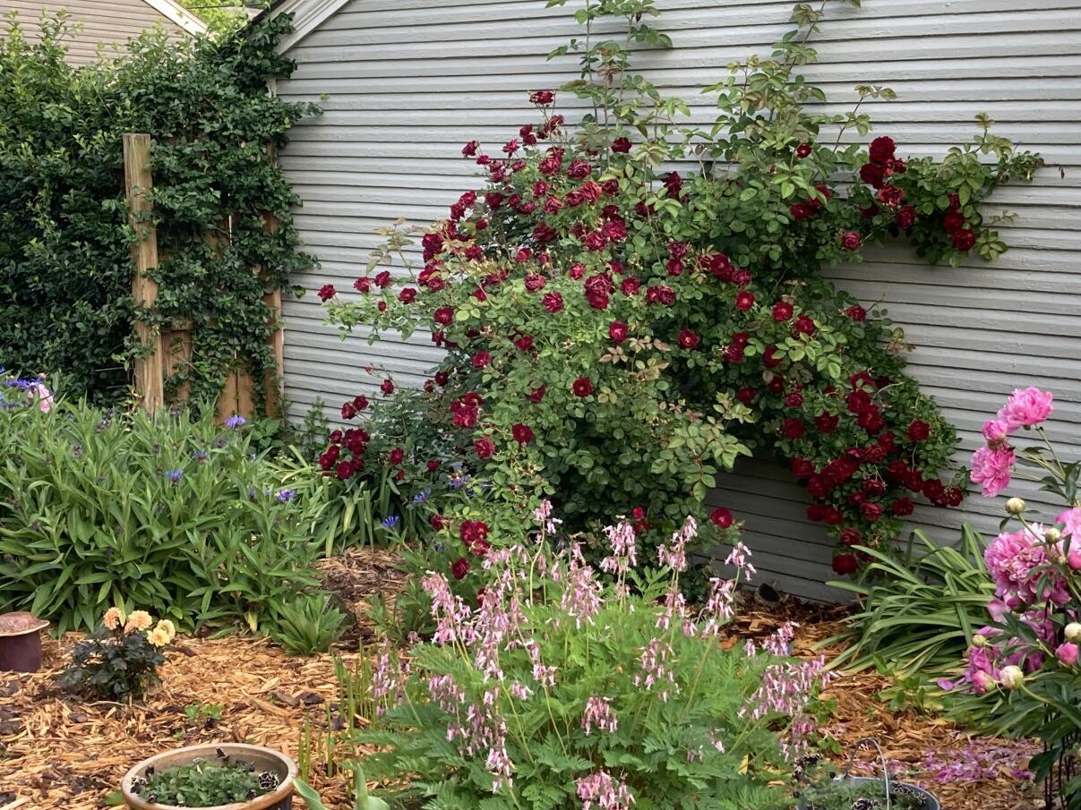 460 Midgard Road Columbus, OH 43202 - Photo 34 of 36 floral