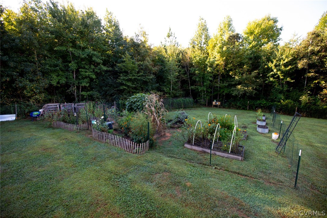 135 Mil-Scott Road Farmville, VA 23901 - Photo 38 of 46