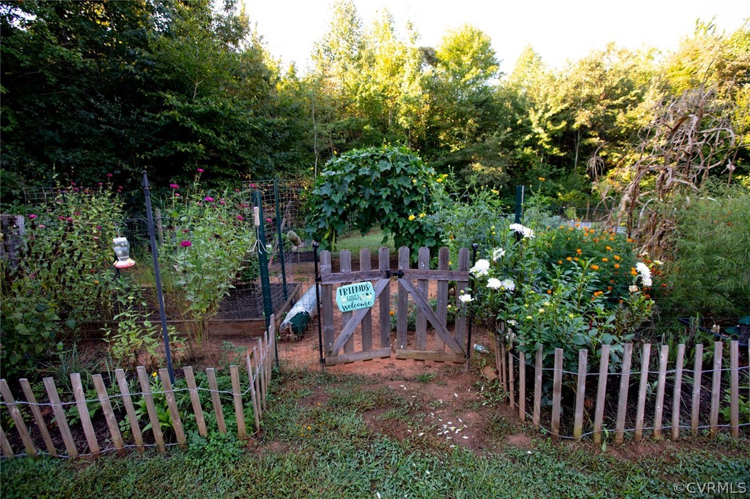 135 Mil-Scott Road Farmville, VA 23901 - Photo 41 of 46 a view of a backyard