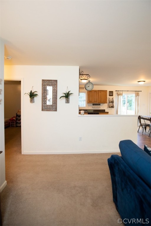135 Mil-Scott Road Farmville, VA 23901 - Photo 10 of 46 a living room with furniture and wooden floor