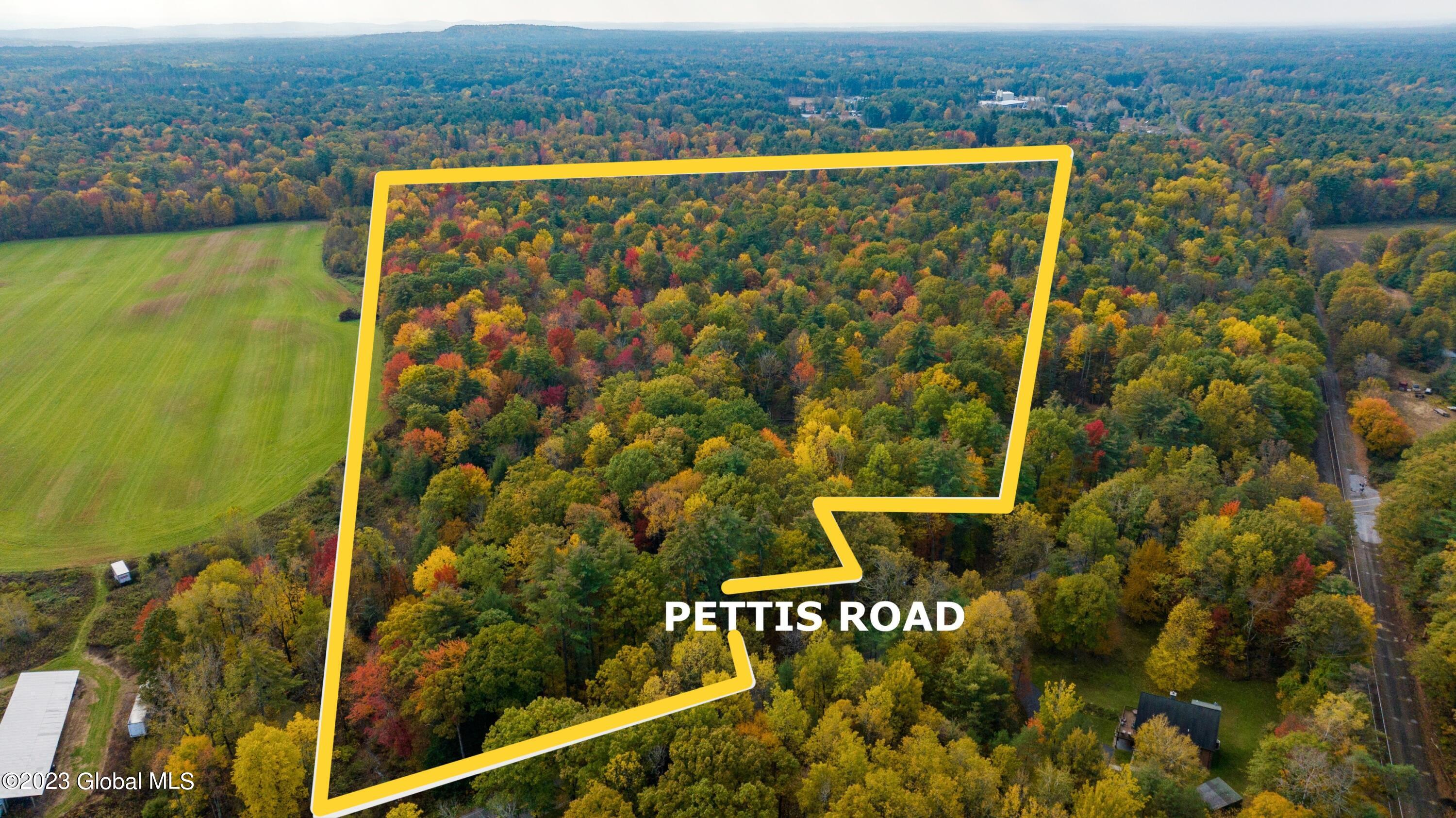 313 Pettis Road Wilton, NY 12831 - Photo 1 of 29 Lot lines