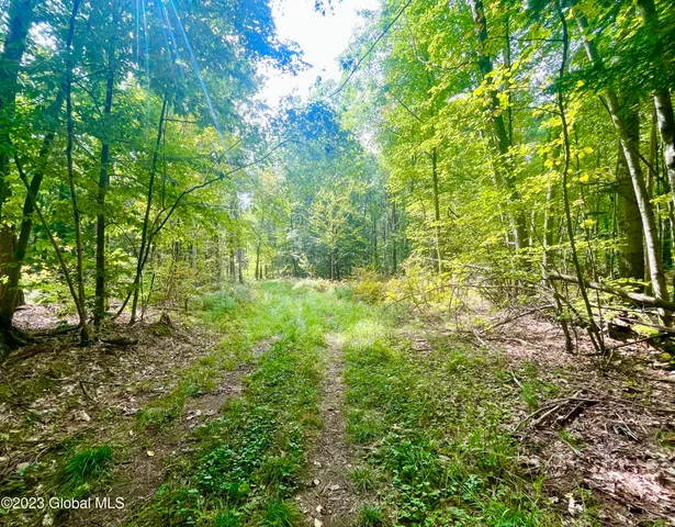 $450,000 | 313 Pettis Road, Wilton, NY 12831