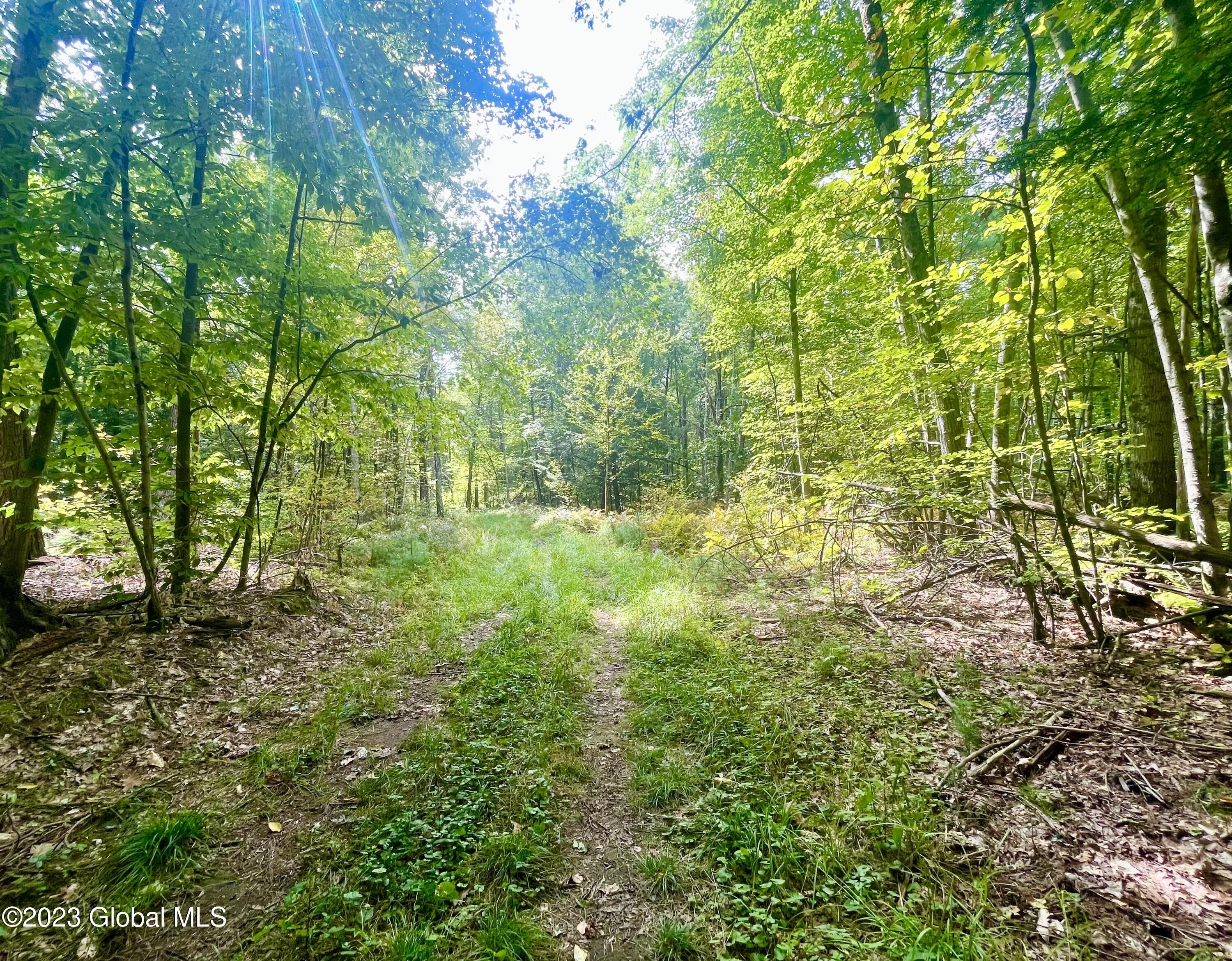 313 Pettis Road Wilton, NY 12831 - Photo 11 of 29 IMG_6346