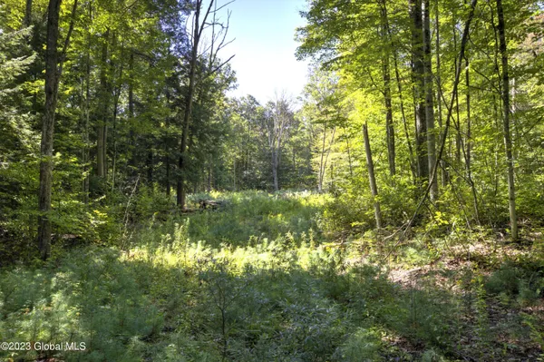 $450,000 | 313 Pettis Road, Wilton, NY 12831
