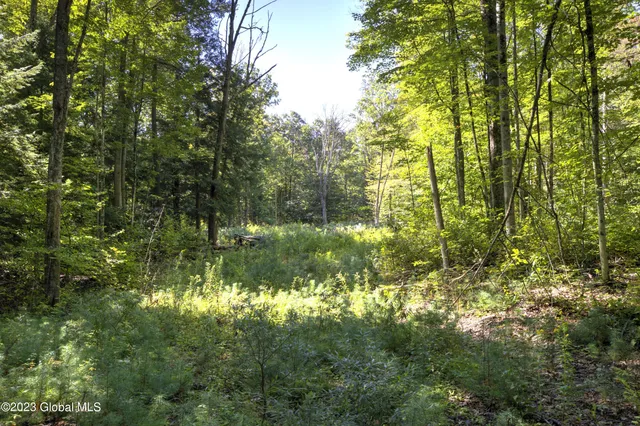 $450,000 | 313 Pettis Road, Wilton, NY 12831